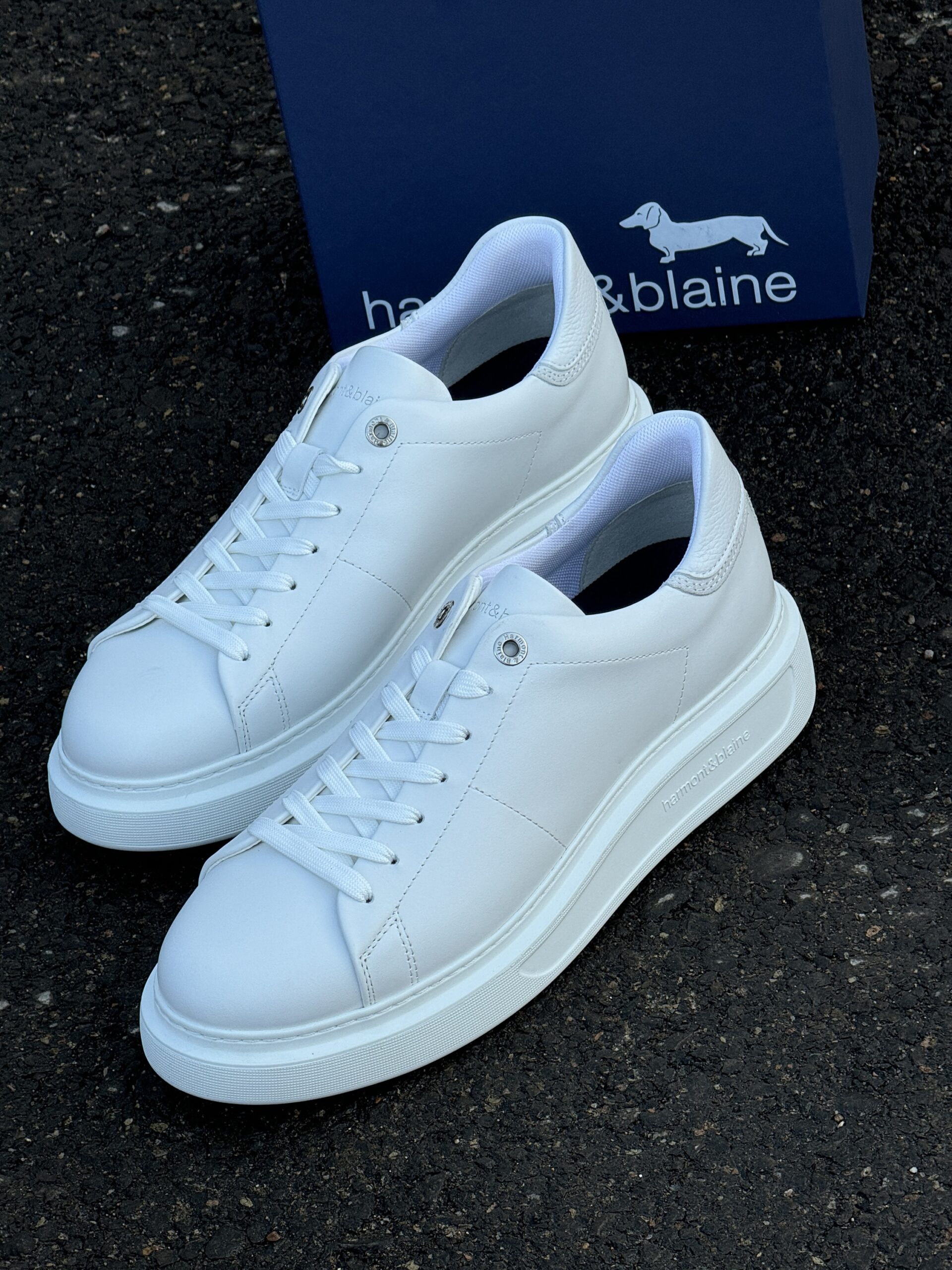 harmont blaine sport